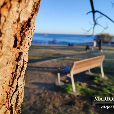 Mariona Estepona