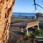Mariona Estepona